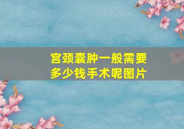 宫颈囊肿一般需要多少钱手术呢图片