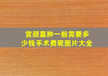 宫颈囊肿一般需要多少钱手术费呢图片大全