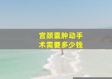 宫颈囊肿动手术需要多少钱