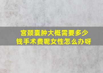 宫颈囊肿大概需要多少钱手术费呢女性怎么办呀