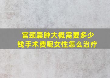 宫颈囊肿大概需要多少钱手术费呢女性怎么治疗