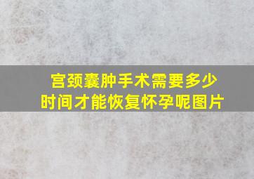 宫颈囊肿手术需要多少时间才能恢复怀孕呢图片