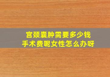 宫颈囊肿需要多少钱手术费呢女性怎么办呀