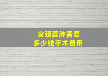 宫颈囊肿需要多少钱手术费用