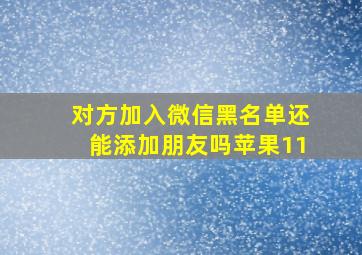 对方加入微信黑名单还能添加朋友吗苹果11