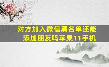 对方加入微信黑名单还能添加朋友吗苹果11手机