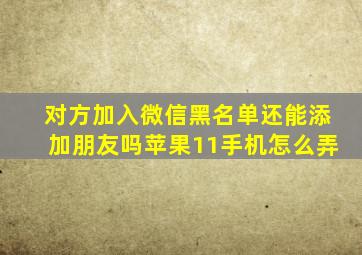 对方加入微信黑名单还能添加朋友吗苹果11手机怎么弄