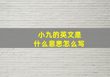 小九的英文是什么意思怎么写