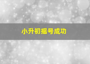 小升初摇号成功