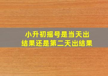 小升初摇号是当天出结果还是第二天出结果