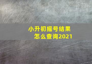 小升初摇号结果怎么查询2021