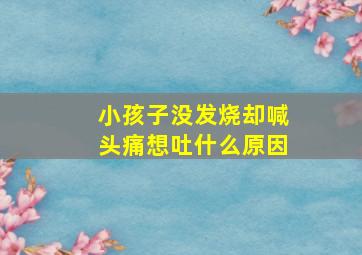 小孩子没发烧却喊头痛想吐什么原因