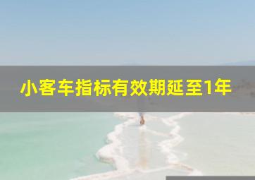 小客车指标有效期延至1年