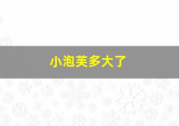 小泡芙多大了