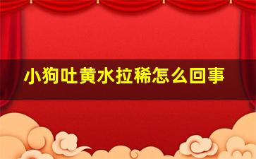 小狗吐黄水拉稀怎么回事