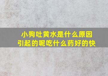 小狗吐黄水是什么原因引起的呢吃什么药好的快