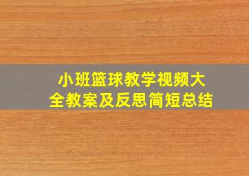 小班篮球教学视频大全教案及反思简短总结