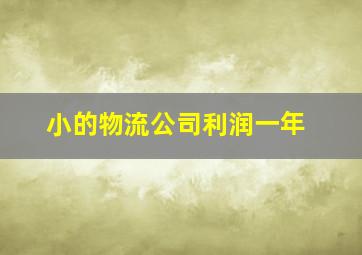 小的物流公司利润一年