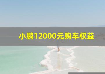 小鹏12000元购车权益