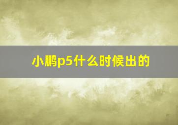 小鹏p5什么时候出的