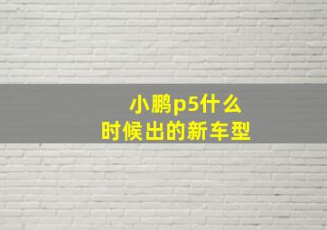 小鹏p5什么时候出的新车型