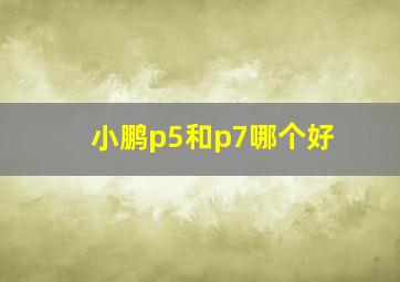 小鹏p5和p7哪个好