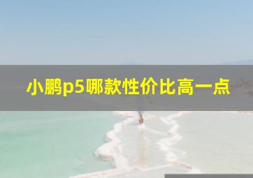 小鹏p5哪款性价比高一点