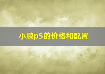 小鹏p5的价格和配置