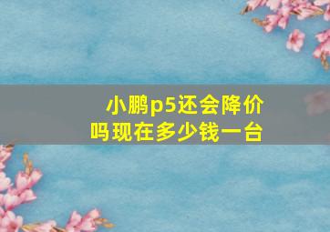 小鹏p5还会降价吗现在多少钱一台