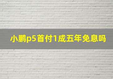 小鹏p5首付1成五年免息吗