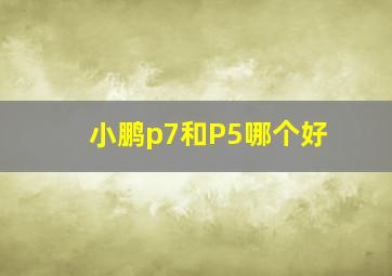 小鹏p7和P5哪个好