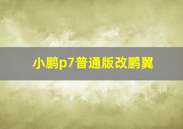 小鹏p7普通版改鹏翼