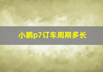 小鹏p7订车周期多长