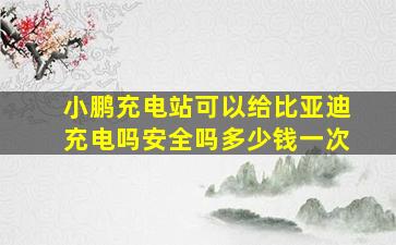 小鹏充电站可以给比亚迪充电吗安全吗多少钱一次