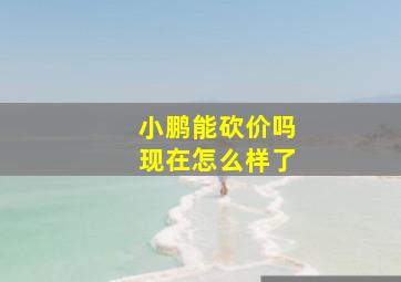 小鹏能砍价吗现在怎么样了