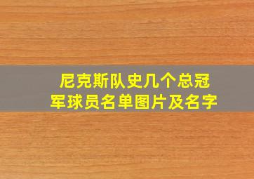 尼克斯队史几个总冠军球员名单图片及名字