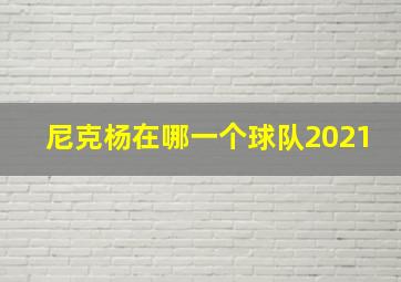 尼克杨在哪一个球队2021