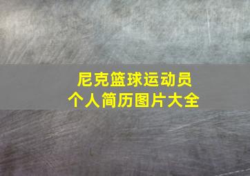 尼克篮球运动员个人简历图片大全