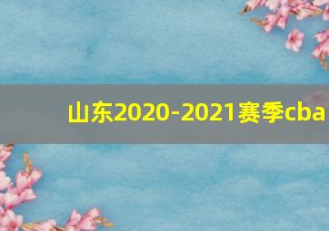 山东2020-2021赛季cba