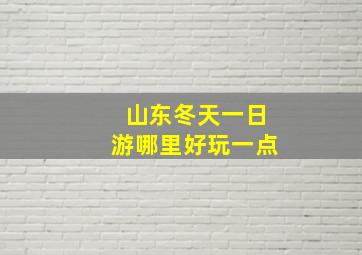 山东冬天一日游哪里好玩一点