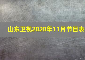 山东卫视2020年11月节目表