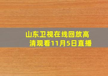 山东卫视在线回放高清观看11月5日直播