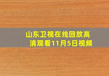 山东卫视在线回放高清观看11月5日视频