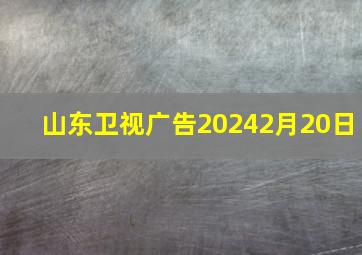 山东卫视广告20242月20日