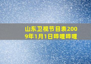 山东卫视节目表2009年1月1日哔哩哔哩