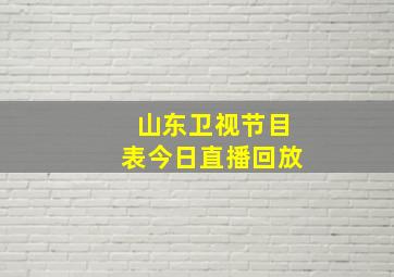 山东卫视节目表今日直播回放