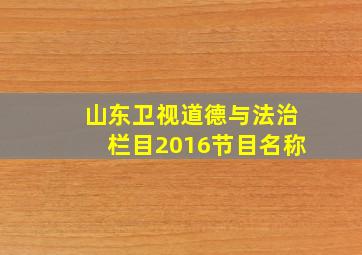 山东卫视道德与法治栏目2016节目名称