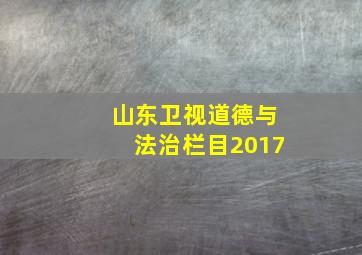 山东卫视道德与法治栏目2017