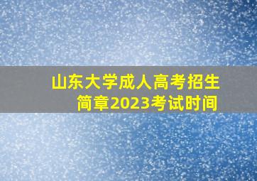 山东大学成人高考招生简章2023考试时间