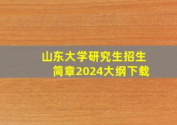 山东大学研究生招生简章2024大纲下载